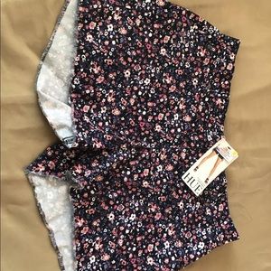 HUE Frayed Hem Denim Short Shorts